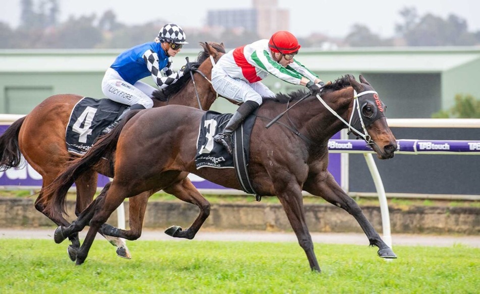 Horses racing at Belmont Park during TABtouch Stakes Day 2025
