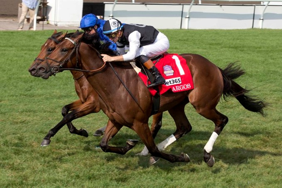 Horses racing under the lights at Woodbine Racetrack on Saturday night.