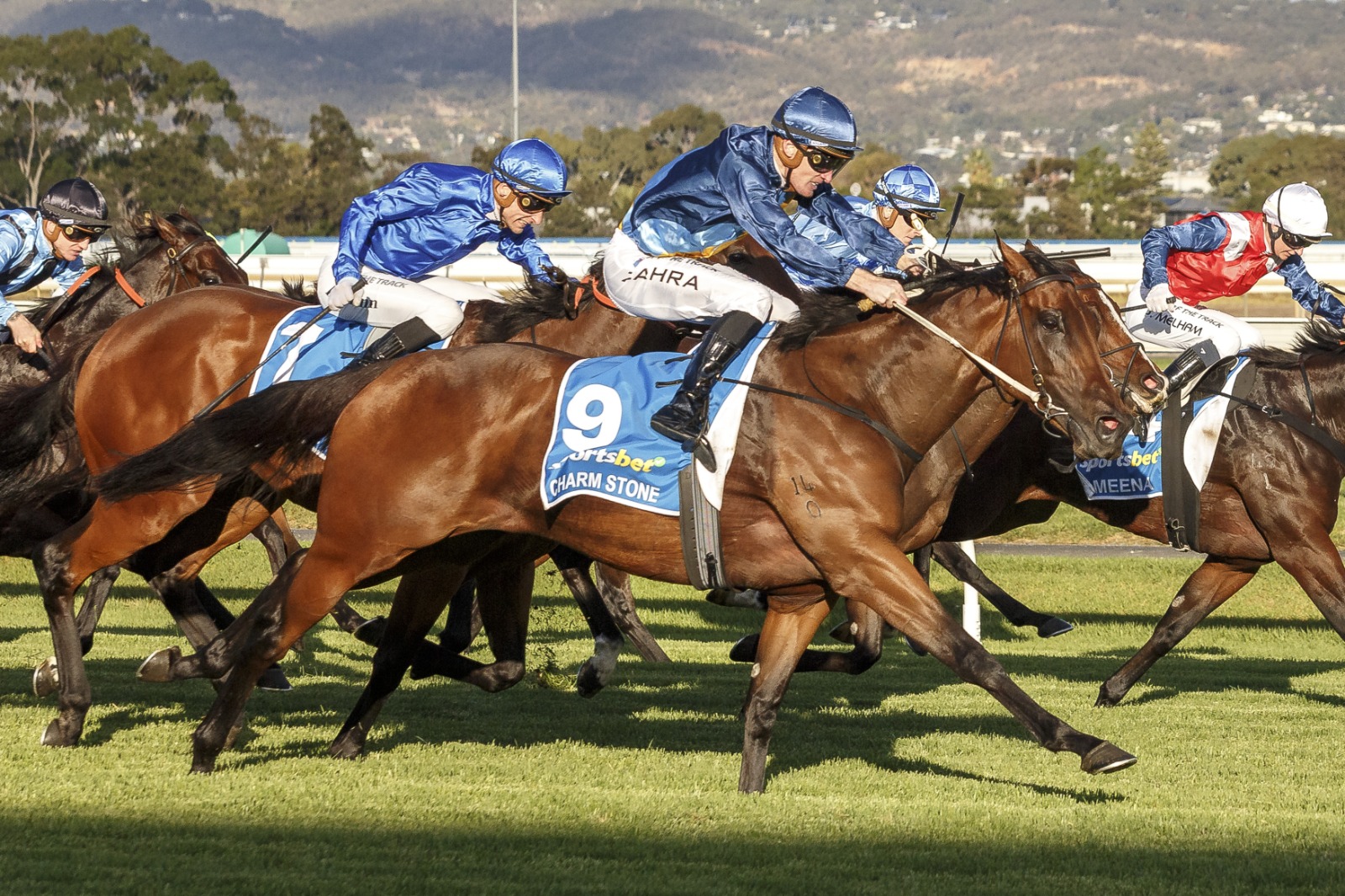 G1 winner Charm Stone set to headline Inglis Digital September Online Sale