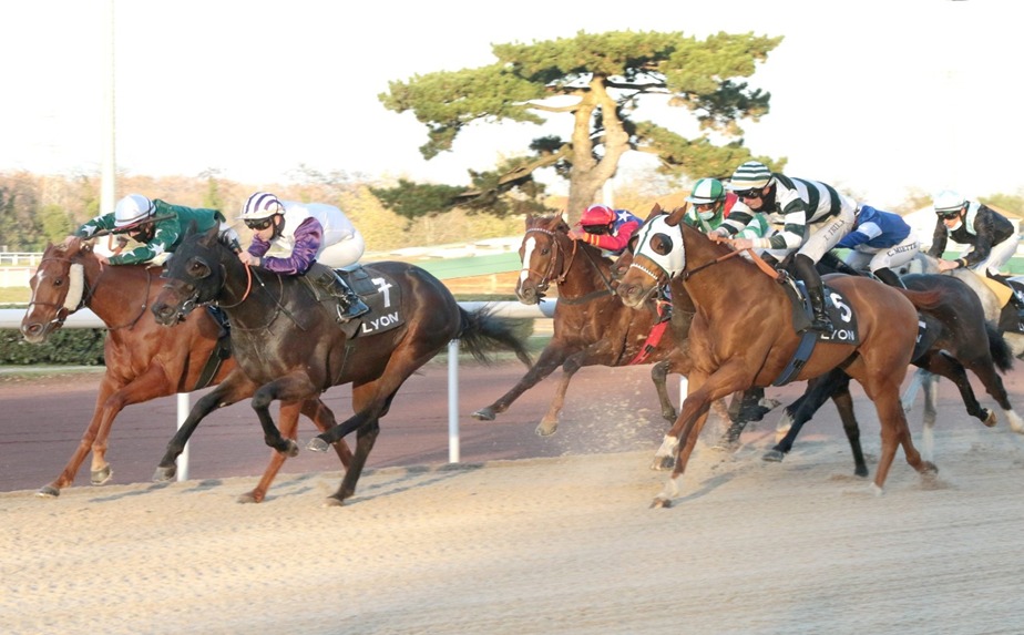 Horses racing at Lyon-Parilly on European Heritage Day 2025 with crowds celebrating tradition and sport.