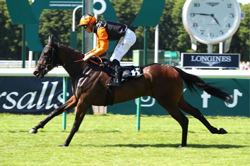Horses jumping at Auteuil Racecourse during Prix The Fellow feature race