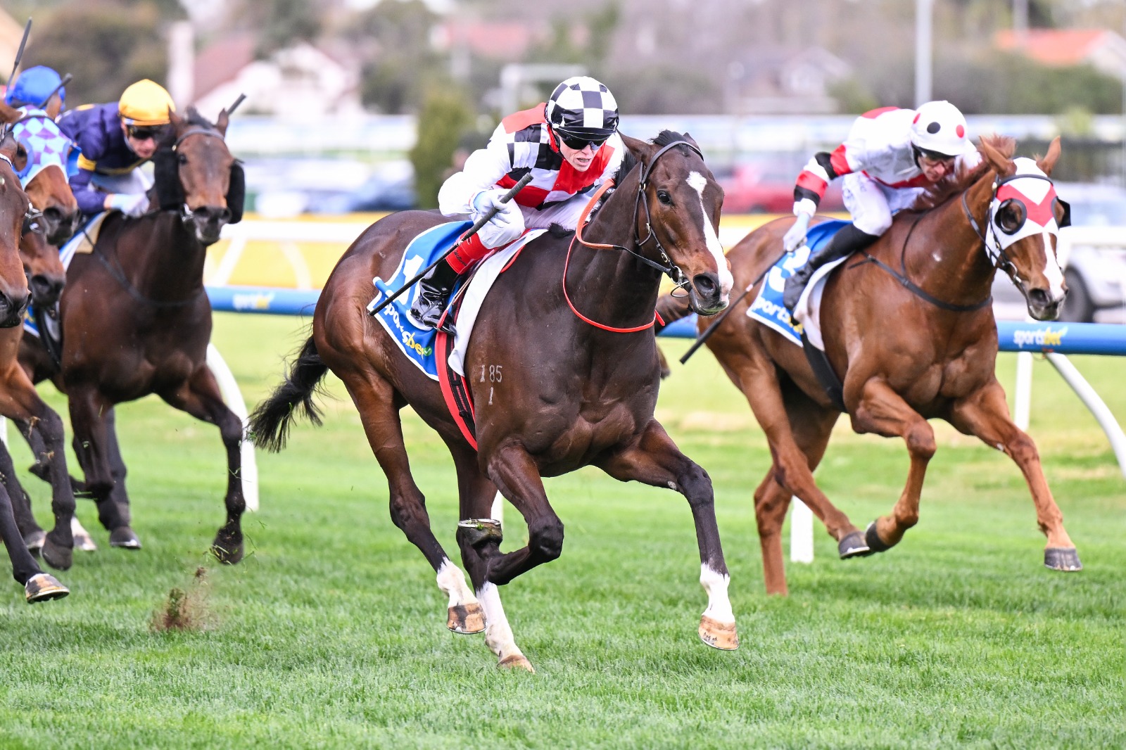 Sepals winning the G1 Sir Rupert Clarke Stakes at Caulfield with Craig Williams aboard.