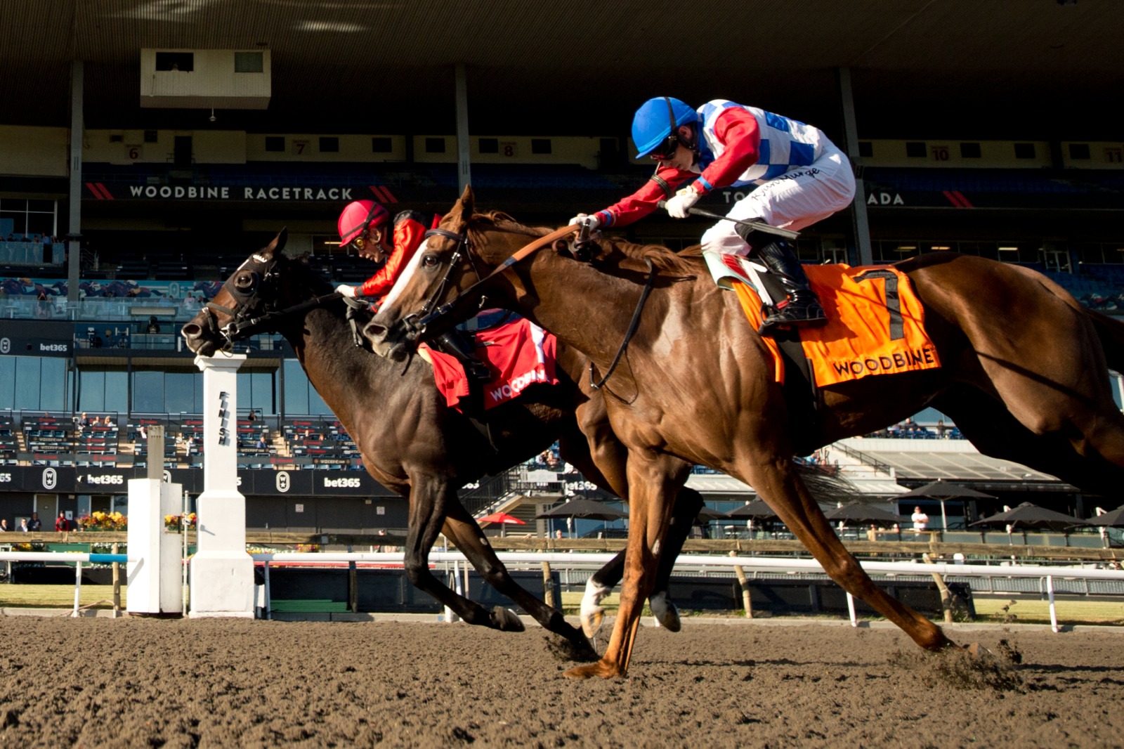 Cool Kiss winning the 2025 Durham Cup at Woodbine under Sahin Civaci