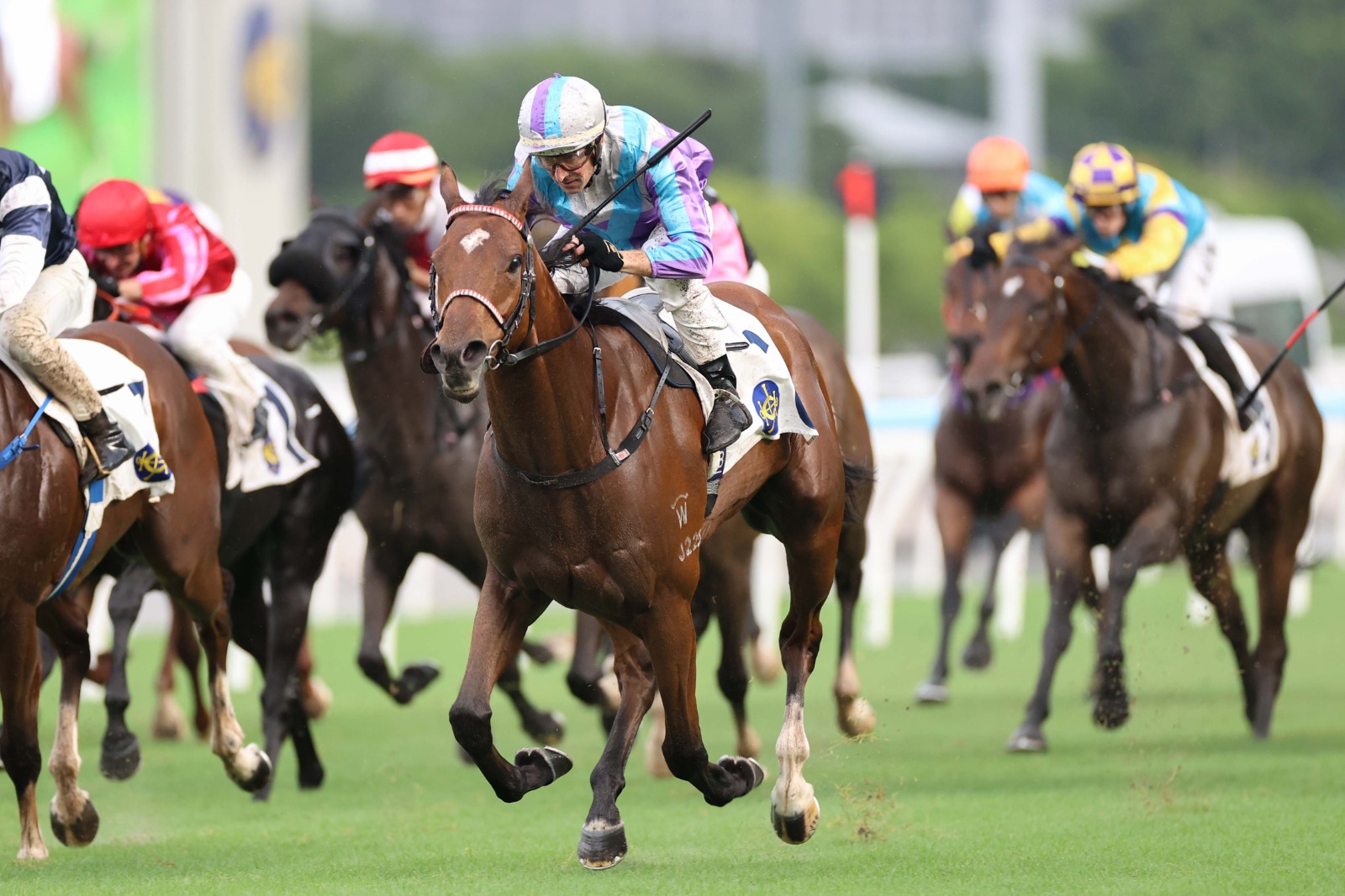 Hugh Bowman celebrating victory at Sha Tin Racecourse under heavy rain