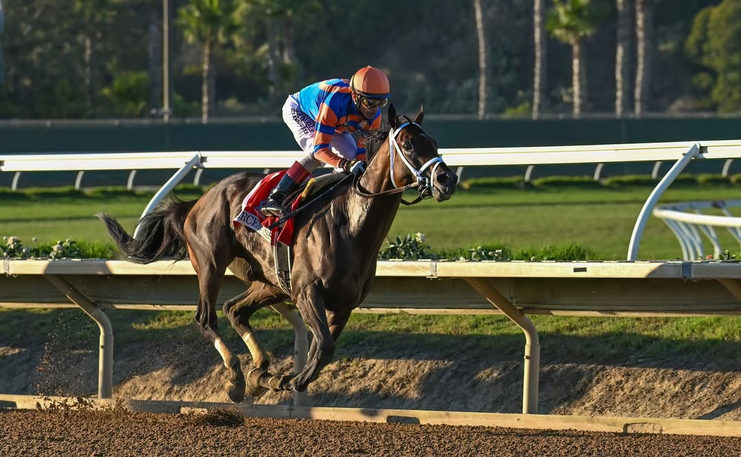 Horses and jockeys compete at Del Mar Thoroughbred Club during the 2025 Breeders’ Cup undercard races