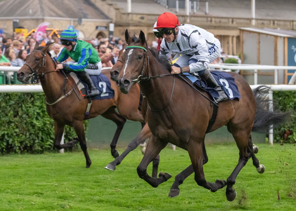 Runners head to post for the British EBF £100,000 2yo Fillies’ Final at Goodwood