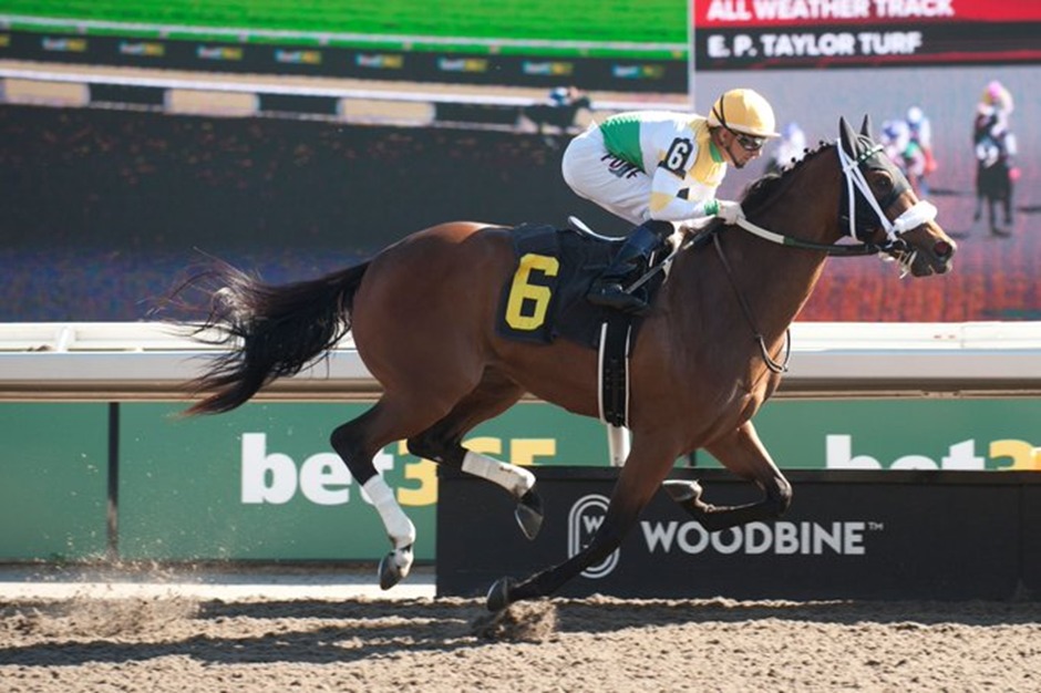 Woodbine Racetrack live horse racing action September 26, 2025