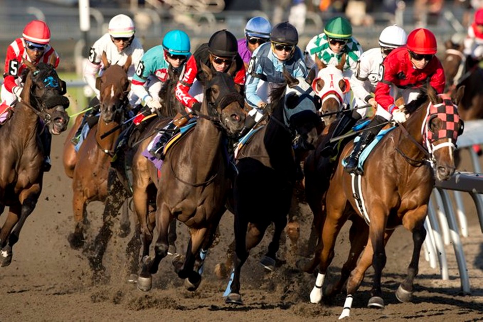 Woodbine Racetrack September 25 2025 race card action on turf and All Weather track