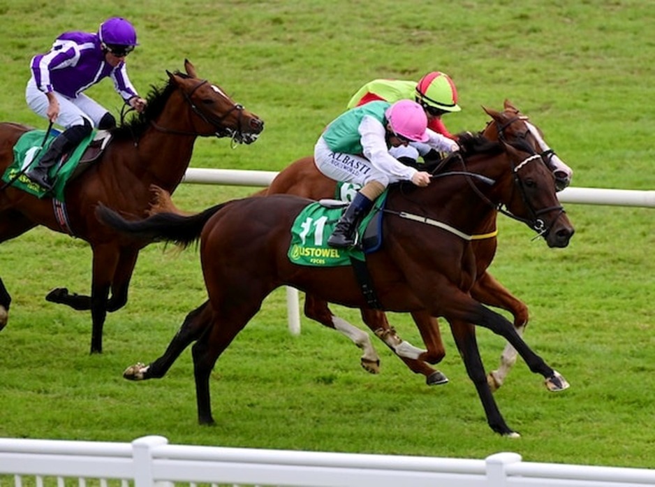Horses racing at Listowel Harvest Festival Day 5, September 25