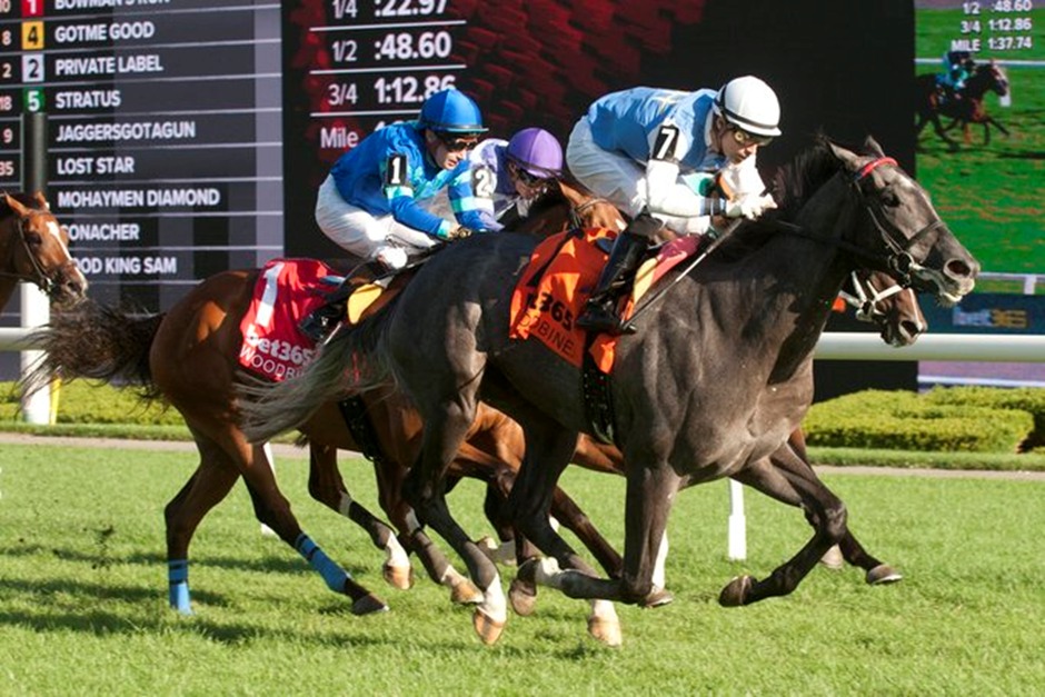 Horses racing under the lights at Woodbine Thoroughbred on September 27, 2025