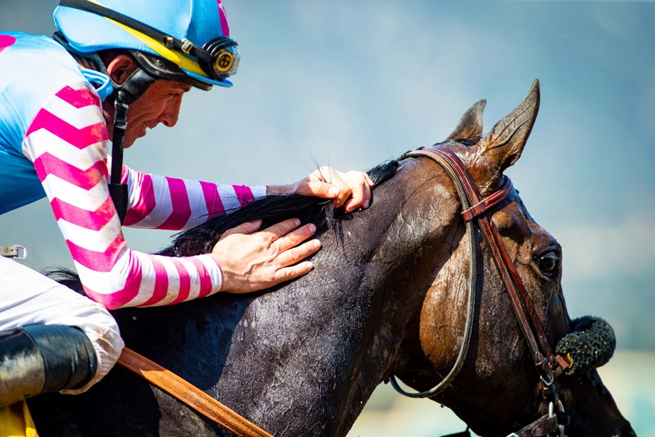 Horses racing at Santa Anita Park during September 27 race day card