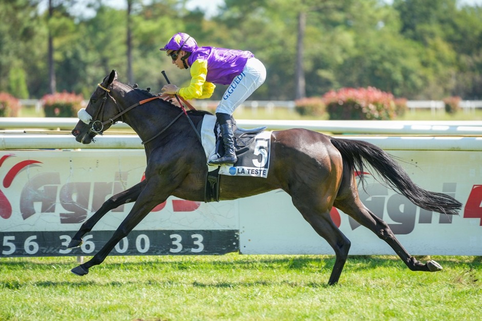 La Teste-de-Buch horse racing meeting 25 September 2025 – winners and action shots
