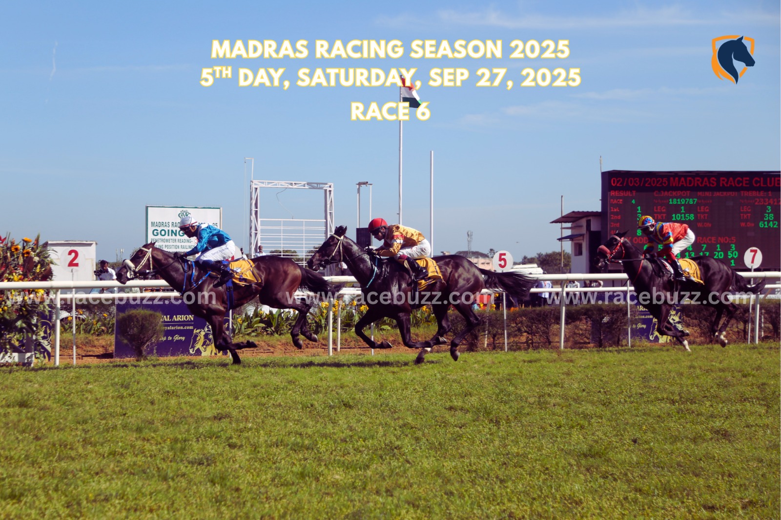 Elfin Knight winning The Almanac Handicap at Madras 2025