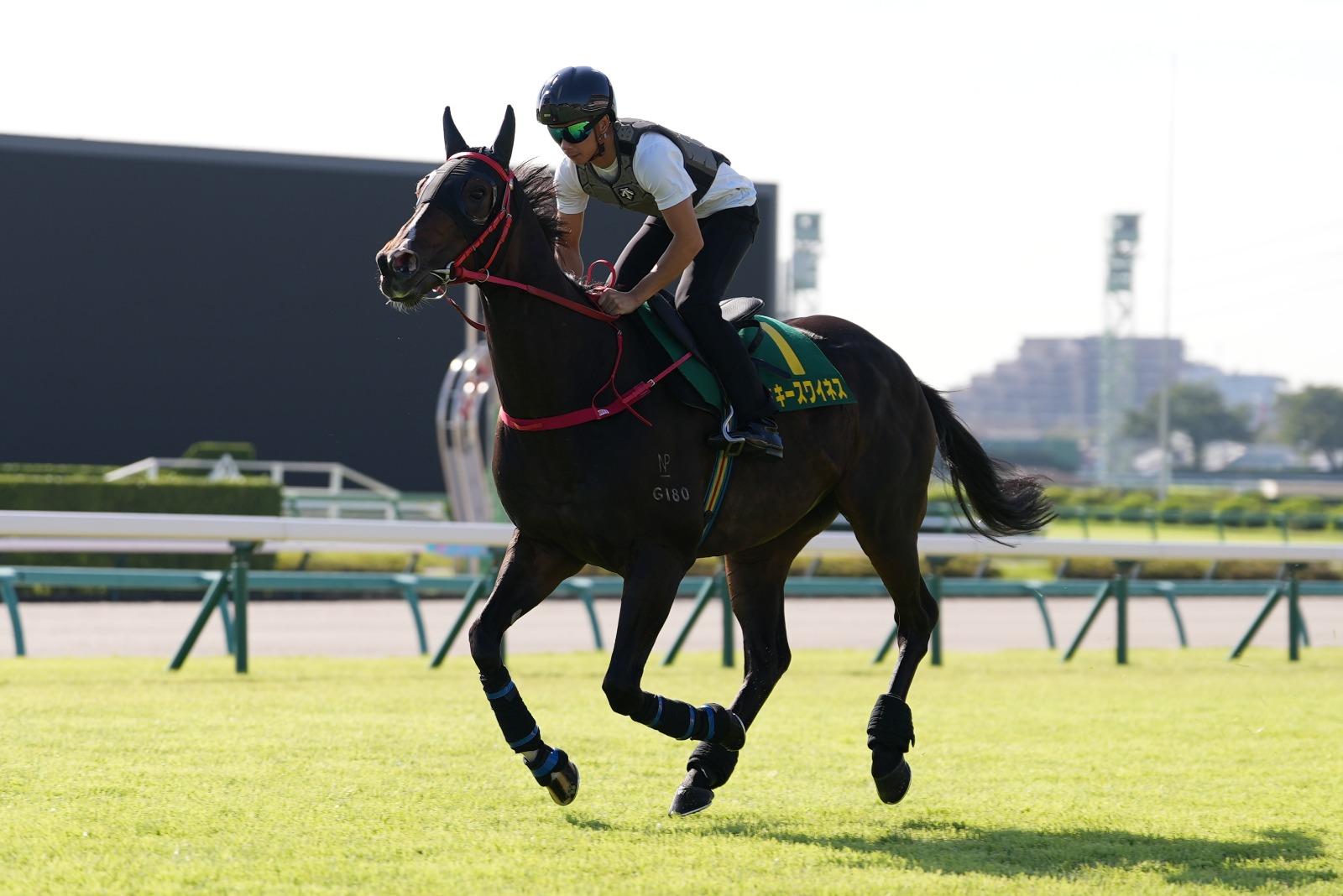 Derek Leung aboard Lucky Sweynesse at Nakayama Racecourse, Japan
