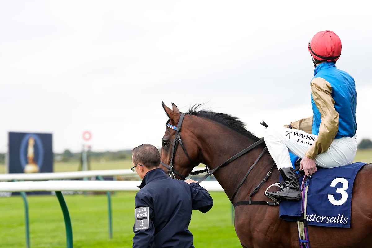 Zeus Olympios winning the Joel Stakes at Newmarket under jockey Clifford Lee