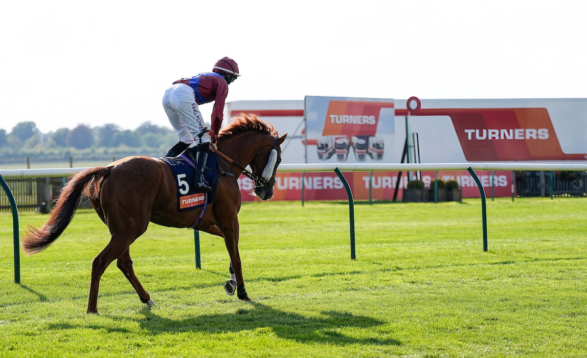 Boiling Point crossing the finish line at Newmarket to win the Cambridgeshire