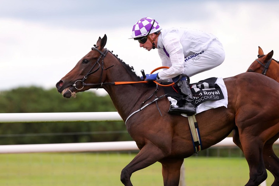 Horses competing at Down Royal Racecourse during Molson Coors Race Day 2025