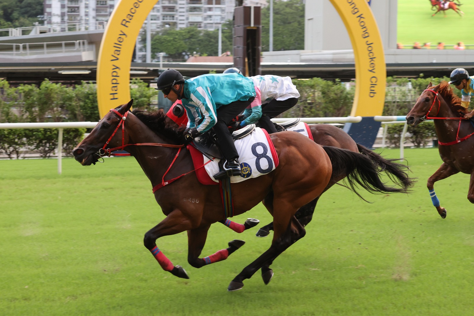 Romantic Warrior breezes through barrier trial at Happy Valley