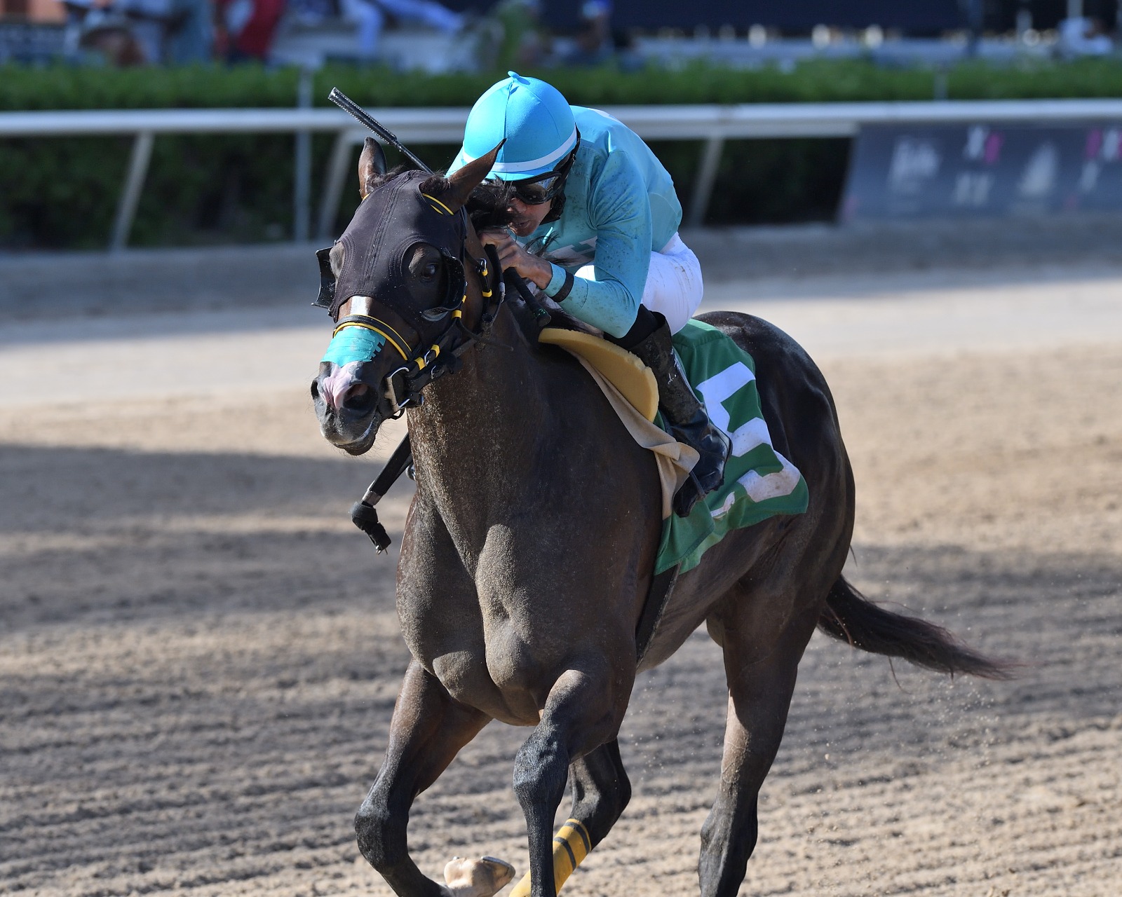 Willow Case winning the Hallandale Beach Stakes at Gulfstream Park under jockey Leonel Reyes