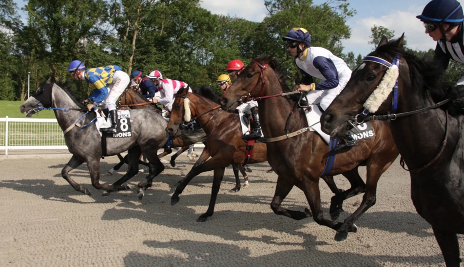 Hippodrome de Mons horse racing action featuring flat races on October 1, 2025