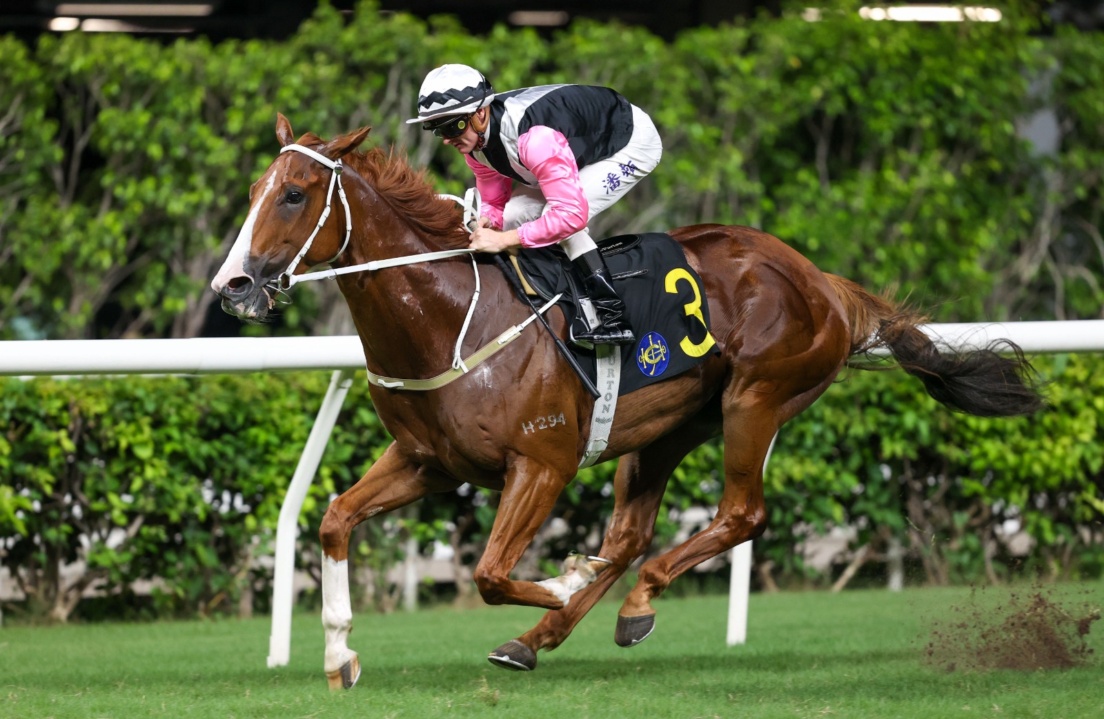 Cellini wins Mid-Day Trophy at Pune Meeting 2025