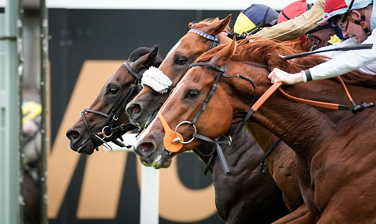 A Bit Of Spirit wins the Solario Stakes 2025 at Sandown under Rossa Ryan