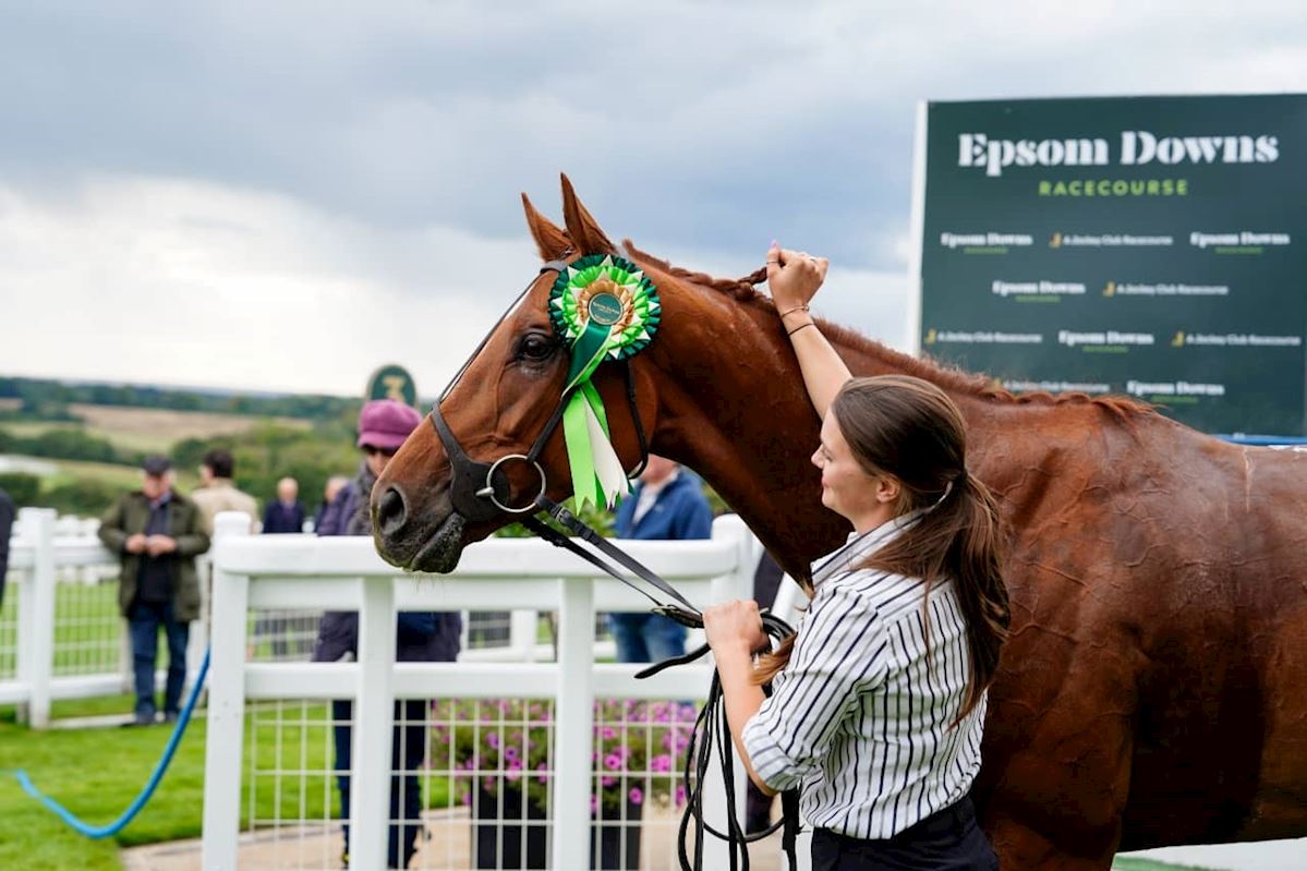 Epsom races September 11 card preview