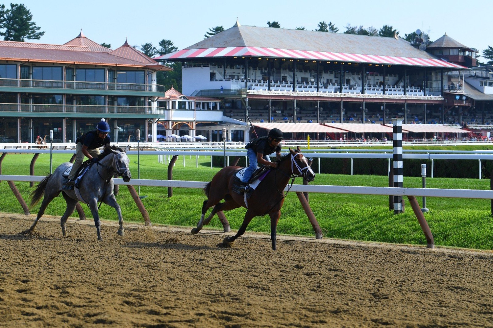 orses and jockeys competing at Saratoga Race Course during Fan Appreciation Week.