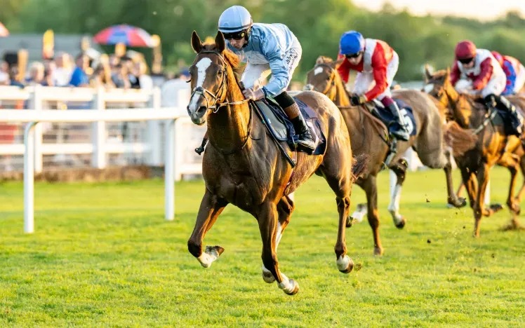 Horses racing at Windsor Racecourse during the Monday Night Racing Season Finale 2025
