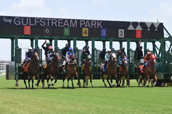 Horses breaking from the gate at Gulfstream Park closing day
