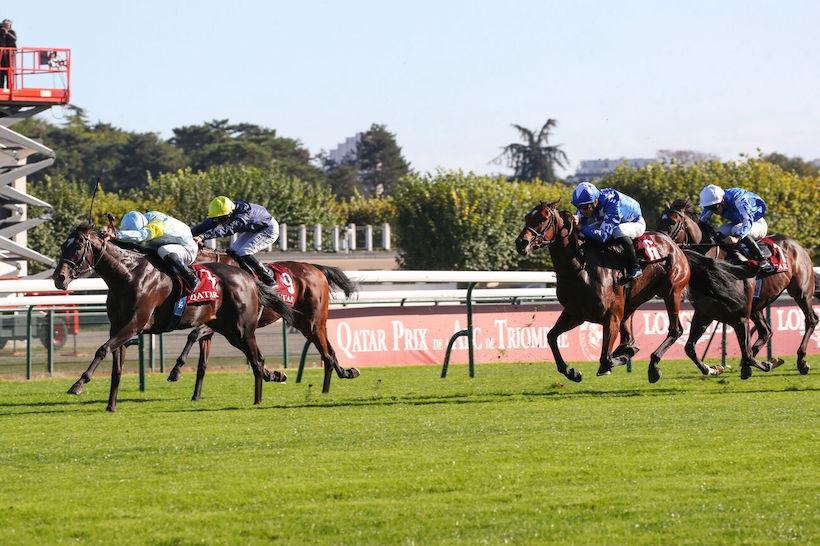 Horses lined up at the start of a flat race at Saint-Cloud Hippodrome