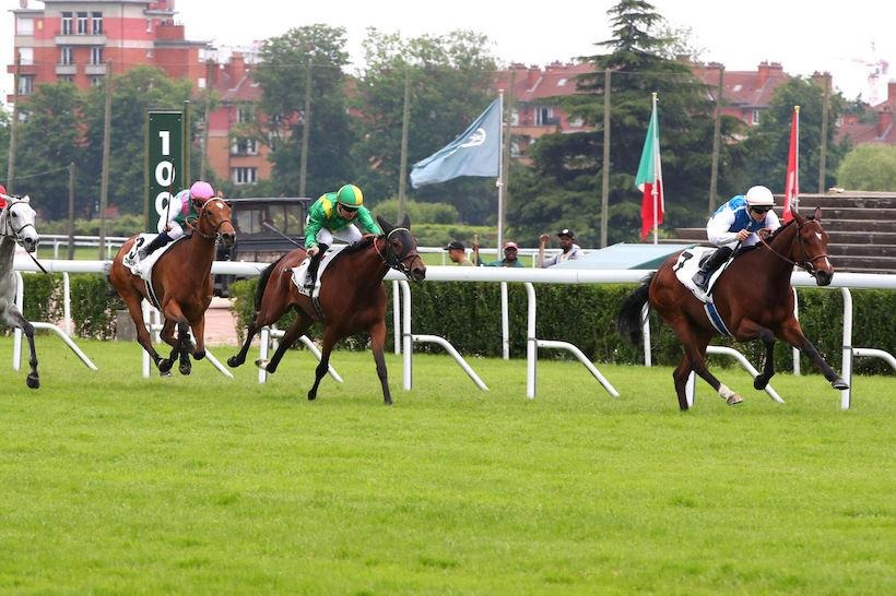 Horses racing at Cazaubon Hippodrome on September 1, showcasing jockeys and trainers in action