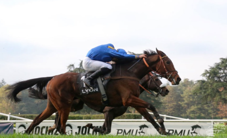 Horses lined up at Lyon-Parilly, jockeys ready to start the race