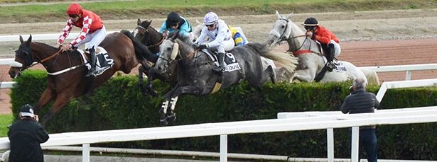 Horses and jockeys preparing for the Toulouse races at Hippodrome de la Cépière