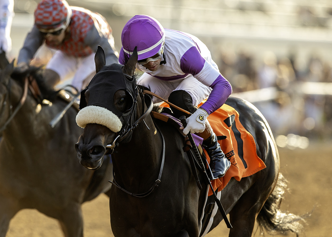Jasmina prepares for the 33rd Generous Portion Stakes 2025 at Del Mar