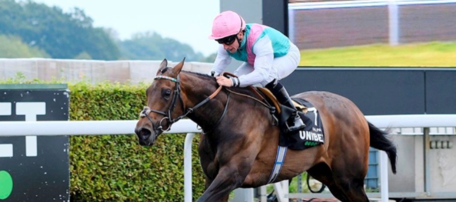Kalpana trains ahead of the 2025 September Stakes at Kempton Park