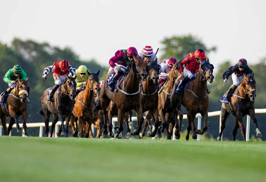 Sea Lantern wins at Roscommon Races September 1