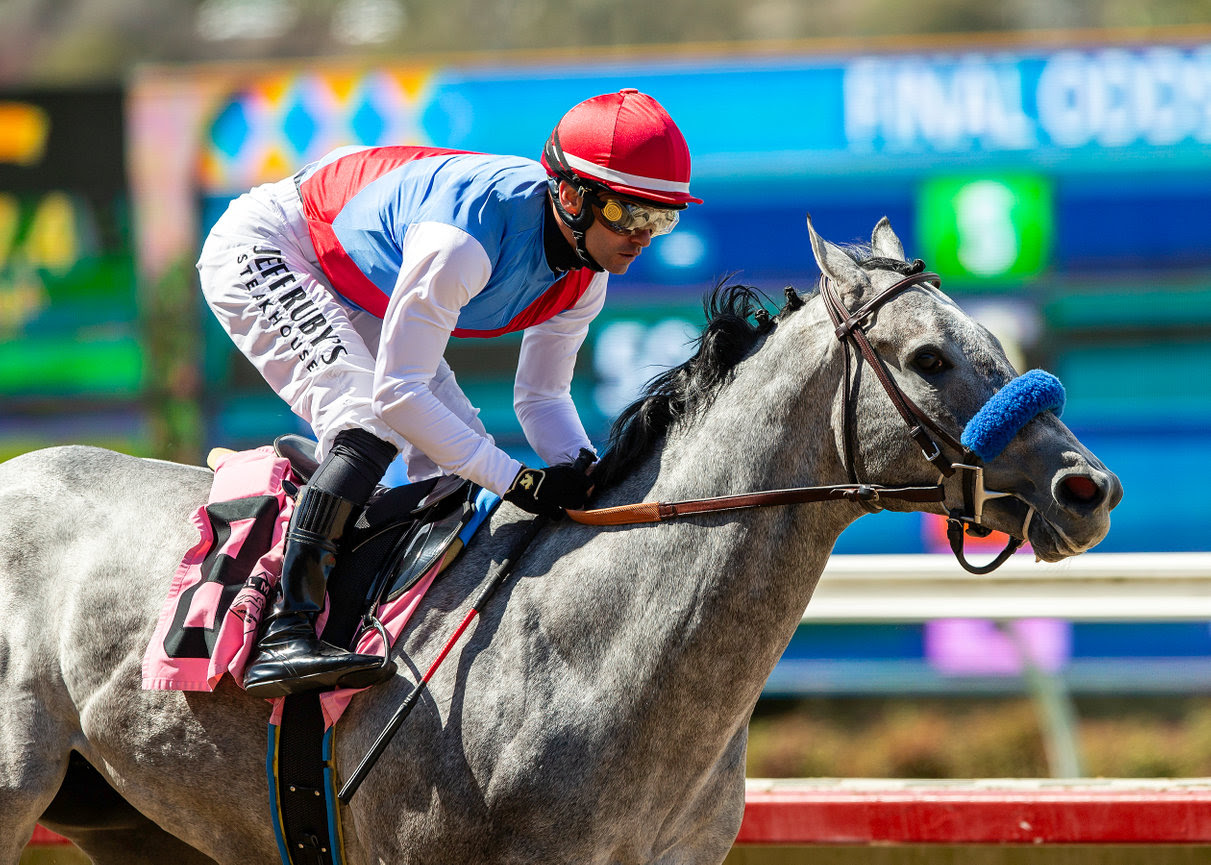 Brant leads the field in Del Mar Futurity 2025