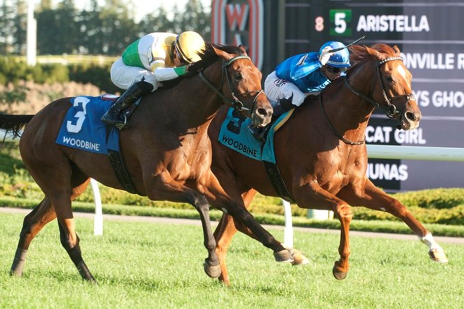 Horses racing under the lights at Woodbine Racetrack, October 2, 2025