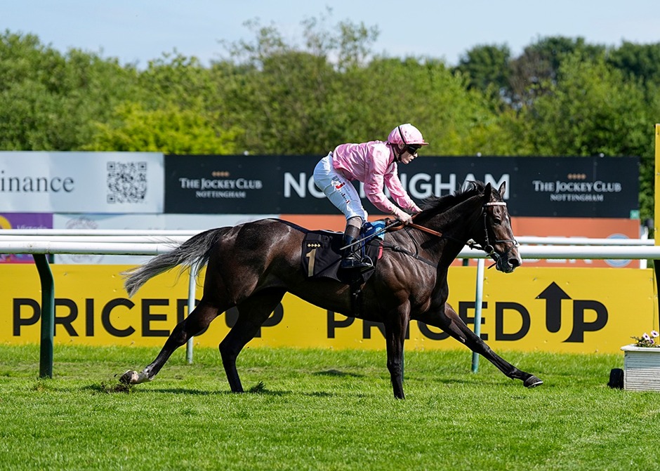 Horses racing at Nottingham Racecourse during Grassroots Series Finals Day 2025