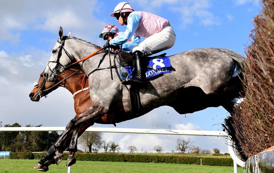 Clonmel Racecourse race day with horses jumping fences amid Tipperary hills