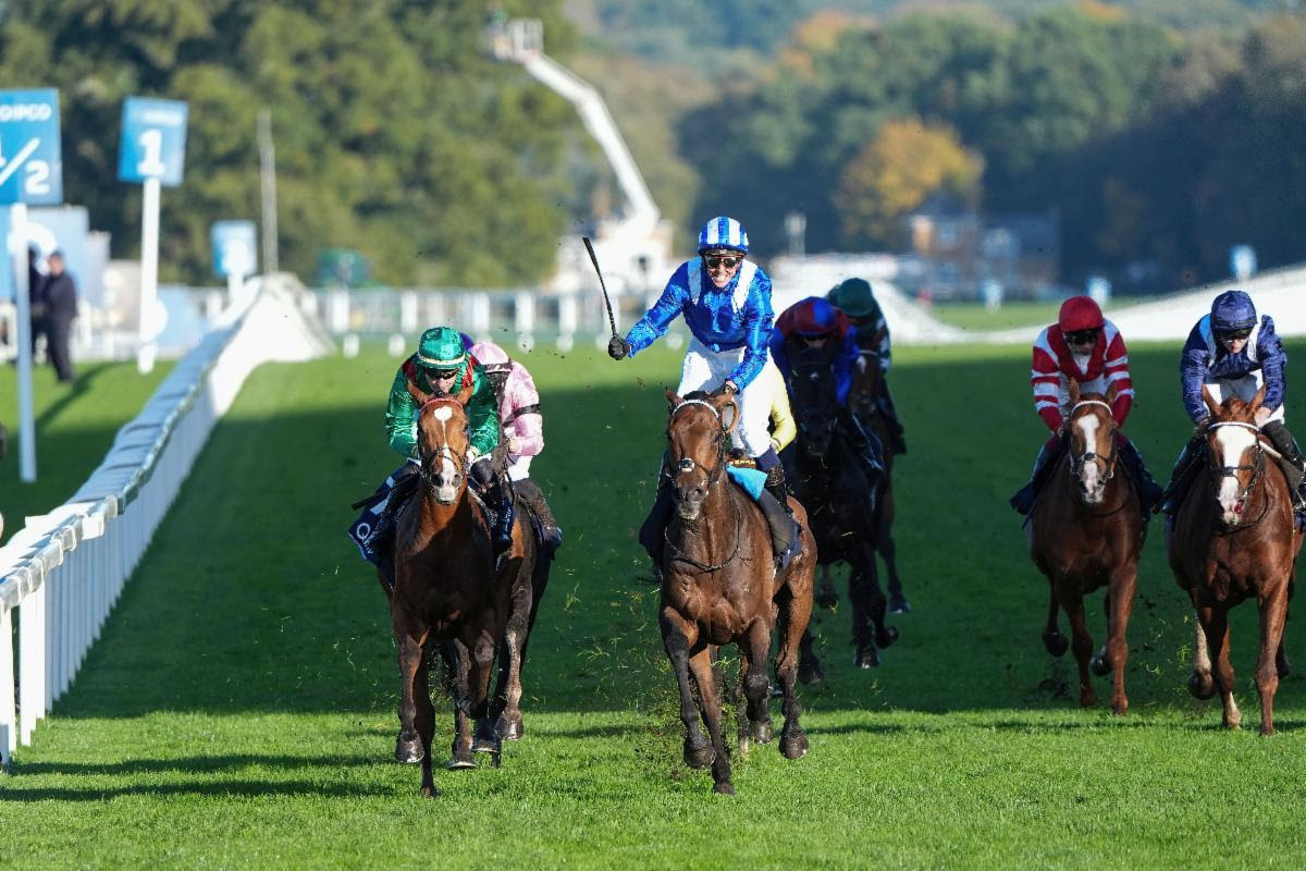 Horses preparing for QIPCO British Champions Day at Ascot Racecourse 2025