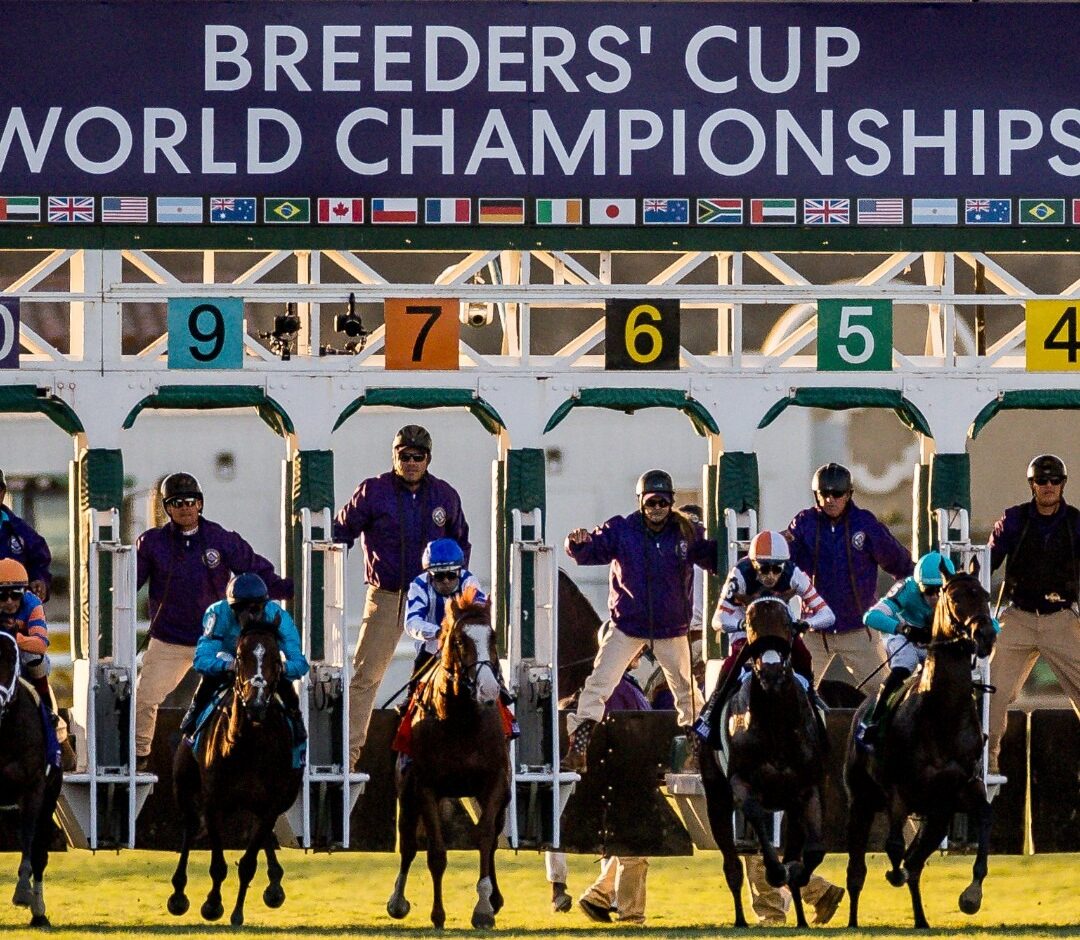 Breeders’ Cup Champions Give Back campaign merchandise and fundraising events