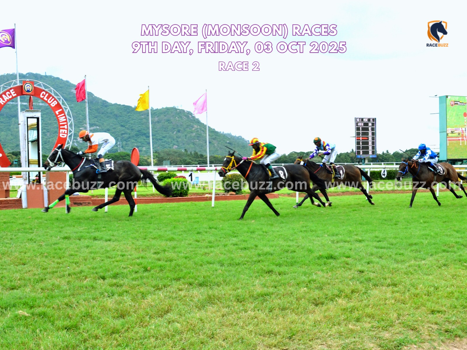 Fashionista winning The Mandakalli Plate at Mysore Monsoon Races 2025