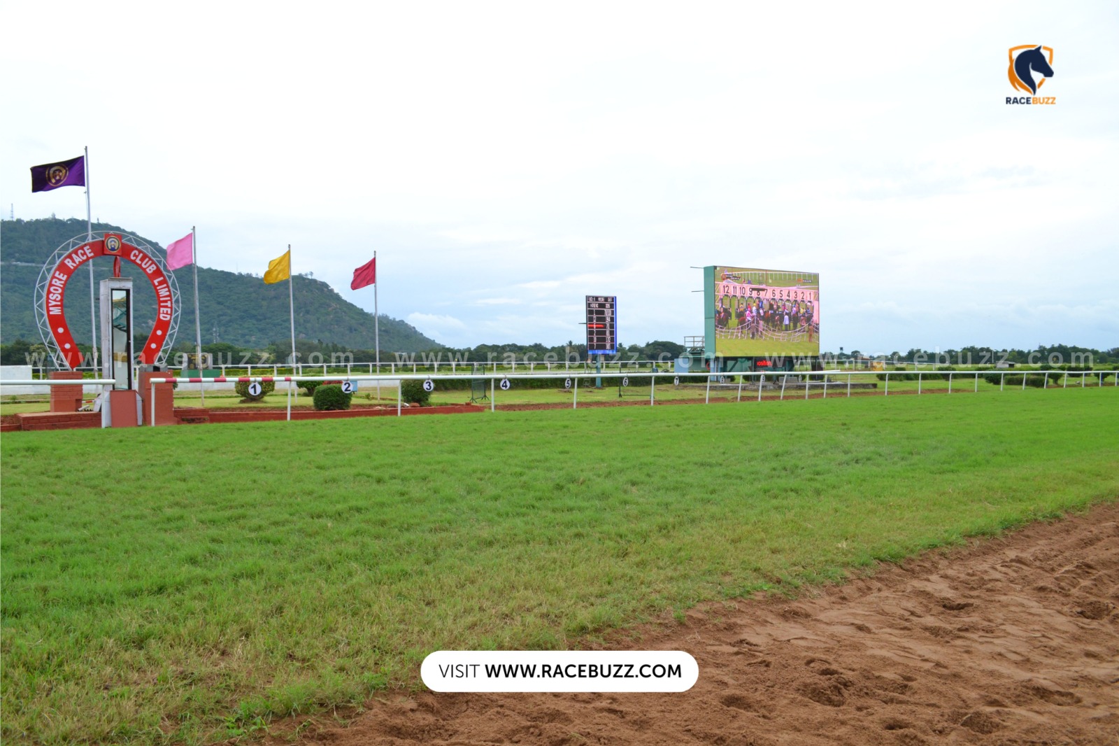 Mysore Race Card 2025 – Full runners and preview for October 3 races at Mysore Race Club including Mysore 2000 Guineas