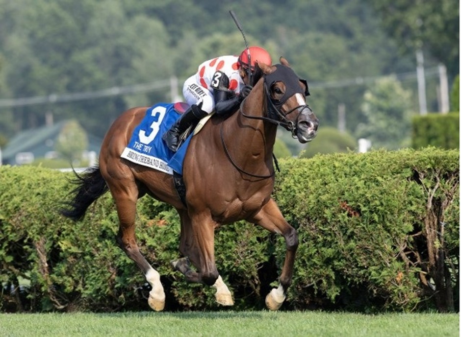 Woodbine Racetrack race day preview for October 3, 2025 featuring turf and all-weather action