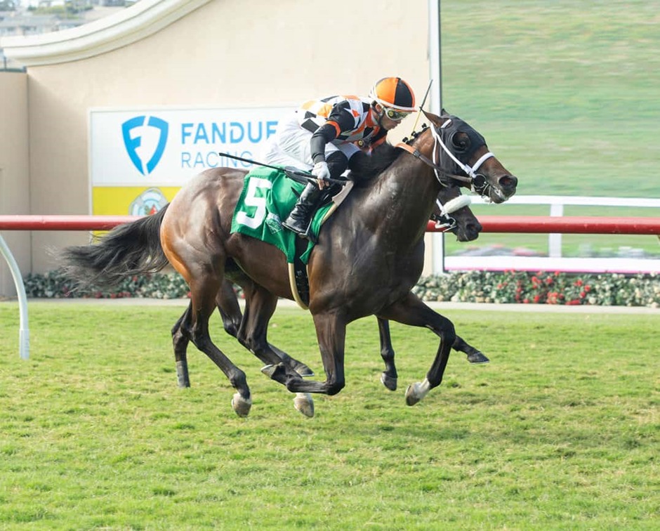 Horses racing at Santa Anita Park during the October 3, 2025 race day