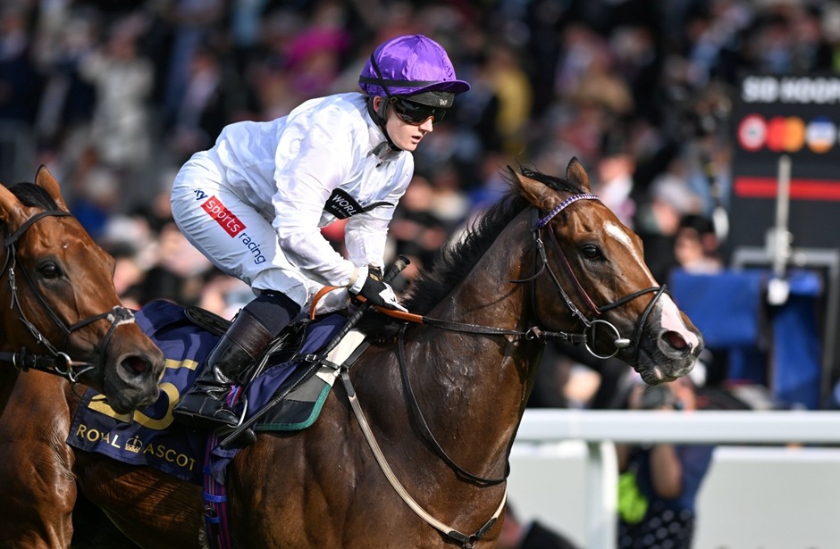 Ascot Autumn Racing Weekend & Beer Festival 2025 with horse racing and over 160 beers at Ascot Racecourse