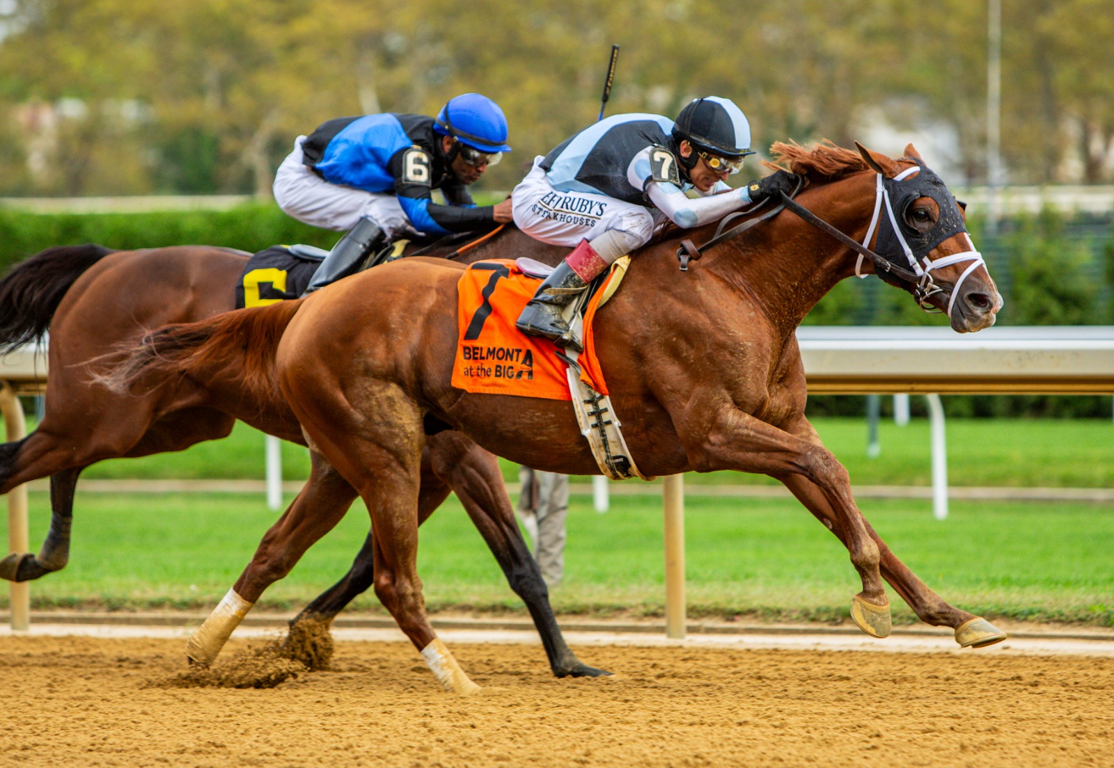 Locked winning the Woodward Stakes at Aqueduct, entering the Breeders’ Cup Classic top 10