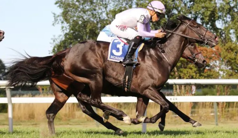Horses racing under the lights at Woodbine Racetrack October 4, 2025